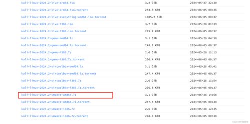 Kali Linux虛擬機配置流程及其在網絡與信息安全軟件開發中的應用