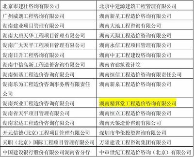 長沙市政府投資項目工程造價咨詢機構庫項目中標公告解析